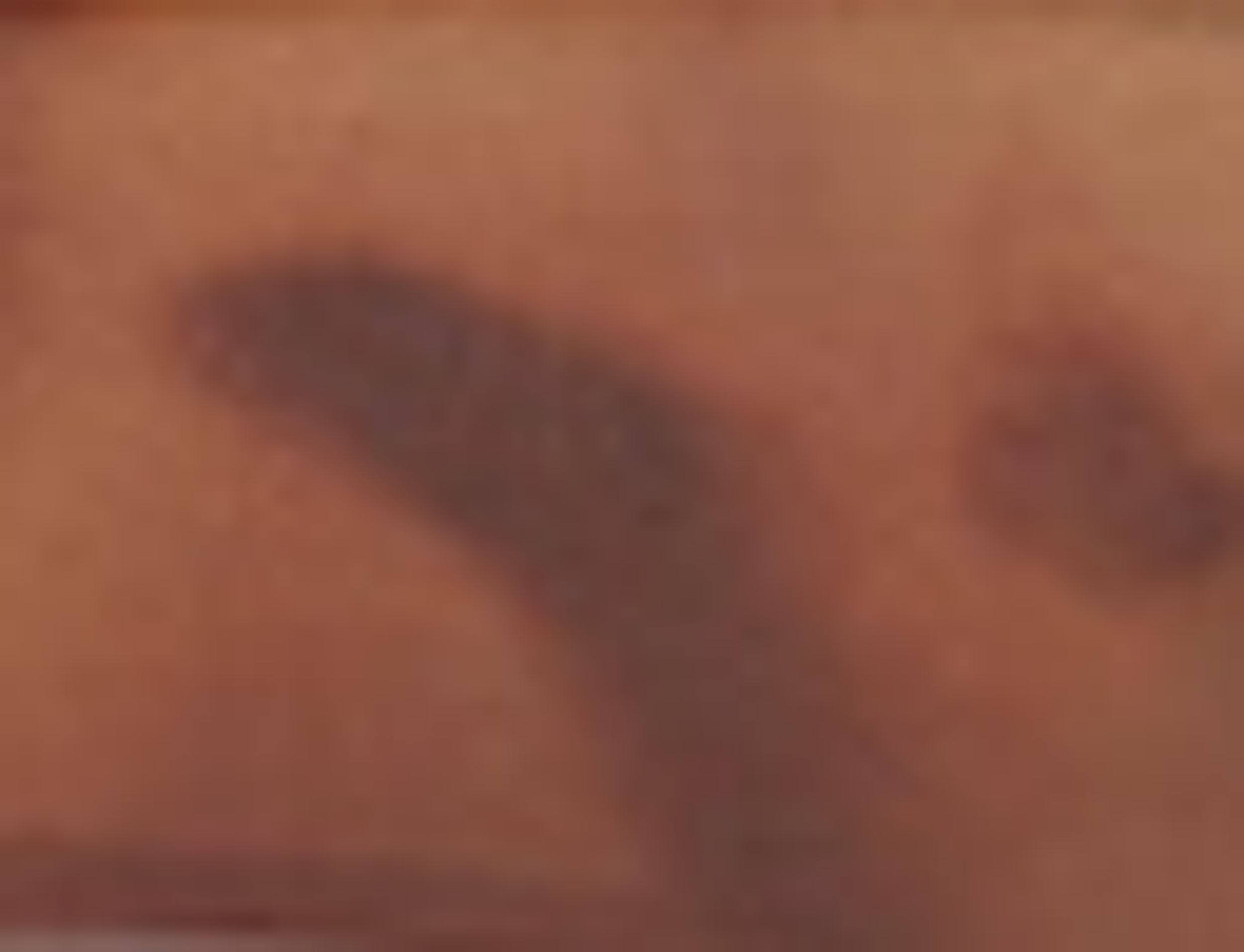 St Germain Classic Sunglasses