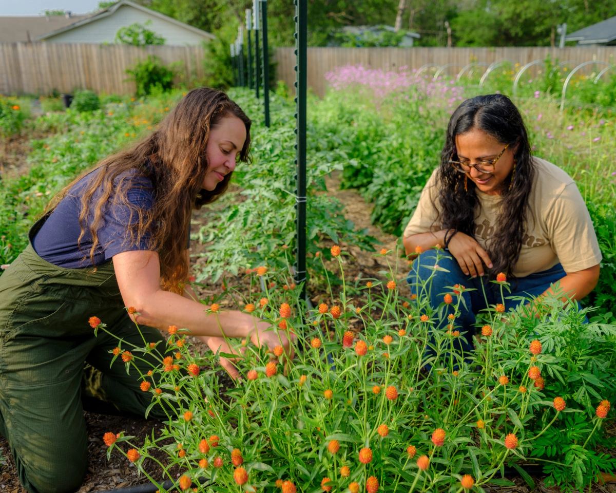 Two women kneel in the market garden, smiling as they pick small orange flowers, with rows of vegetables behind them