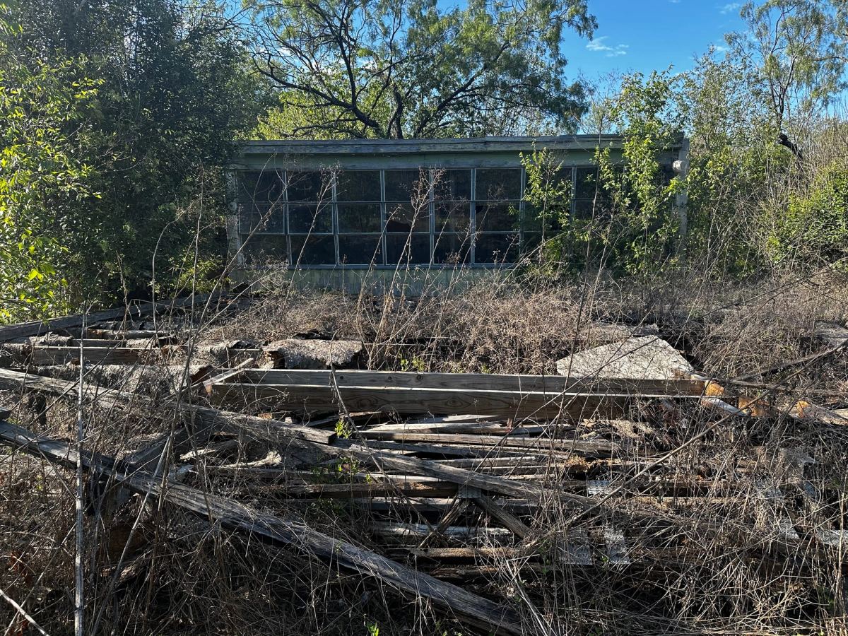 A derelict glass-walled outbuilding, half hidden by brush, behind a heap of old lumber