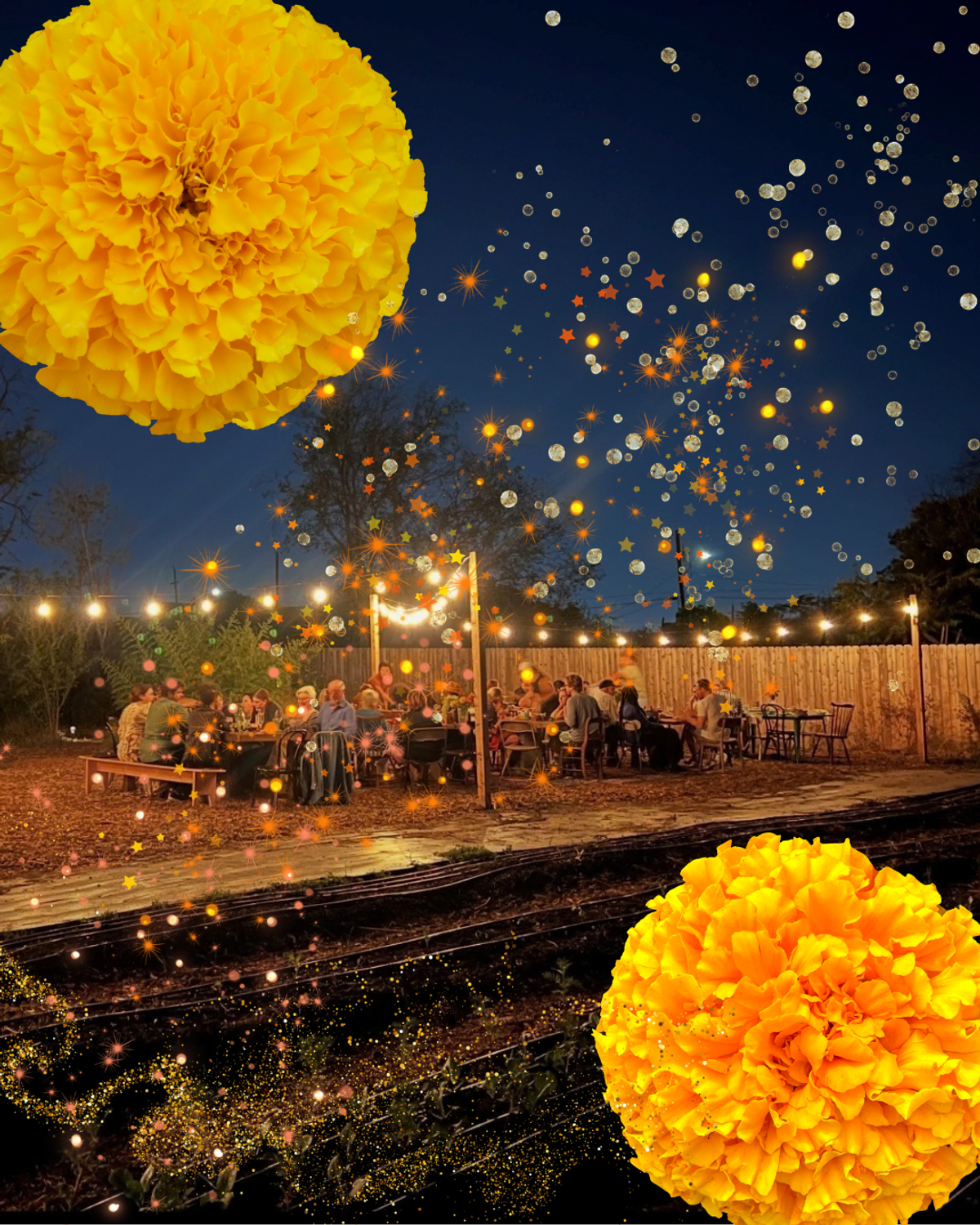 A long-table dinner in the garden at night under strings of lights, with two large marigold blooms and a scatter of sparkles collaged over the sky