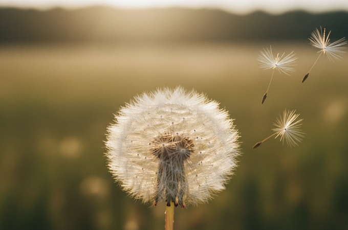 Value First Humans: Multiplying Value Instead of Extracting It with Chris and George