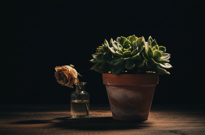 Self-Care: What It Is, What It Isn’t + Why Knowing the Difference Matters