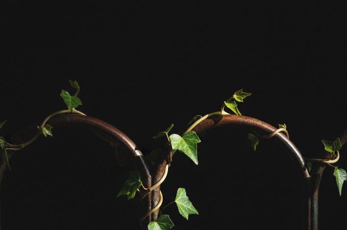 B2B Referral Generation: Shifting your marketing mindset, feat. John Jantsch