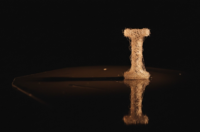 The Power of Language: Choosing Your Words to Shape Your Destiny