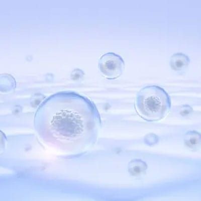 An illustration of stem cells.
