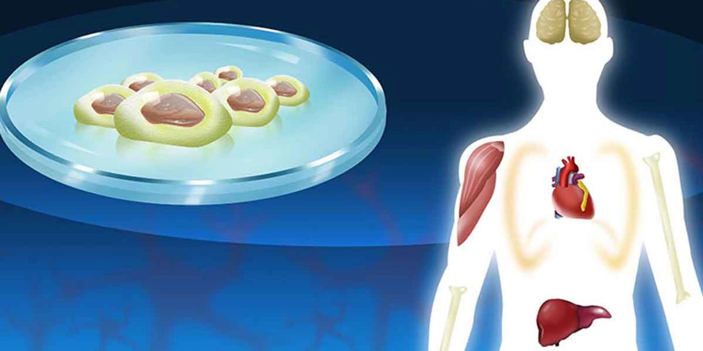 What is regenerative medicine?