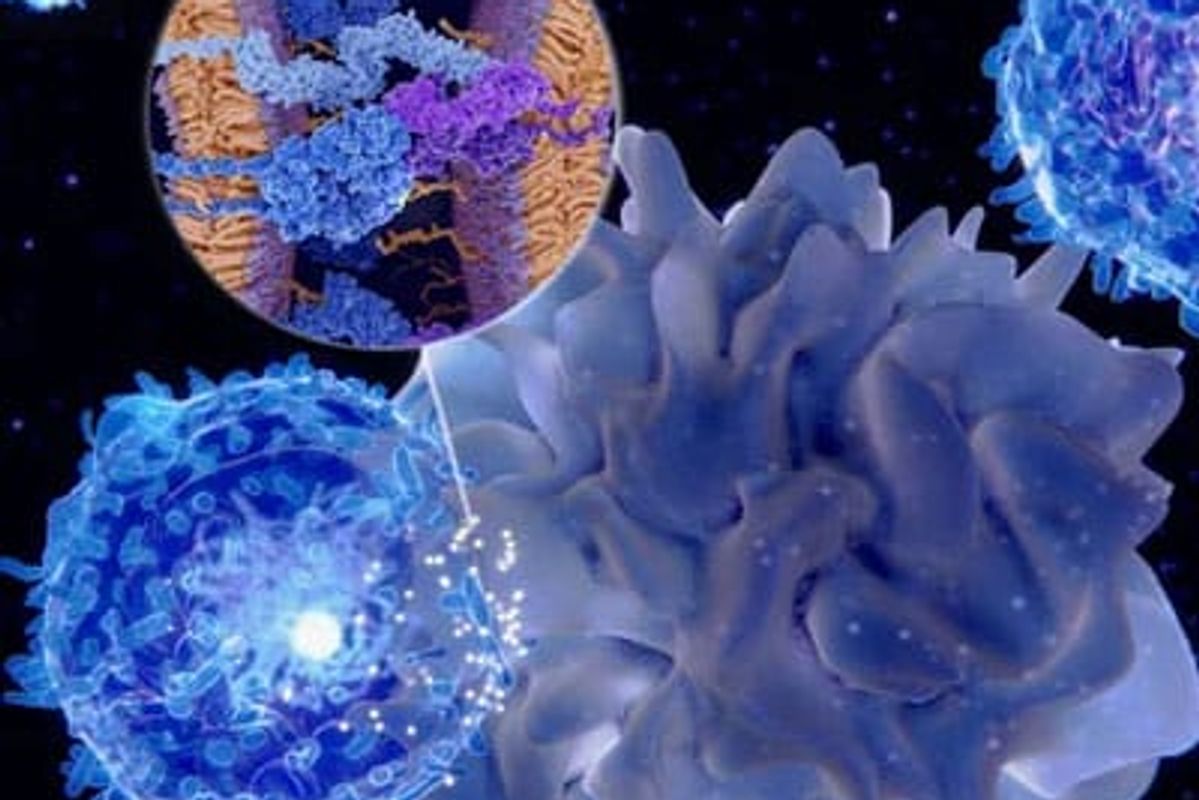 Picture depicting autoimmune disease.