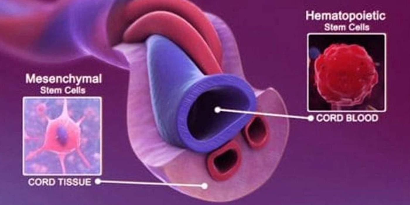 Regenerative Medicine for Autoimmune Conditions