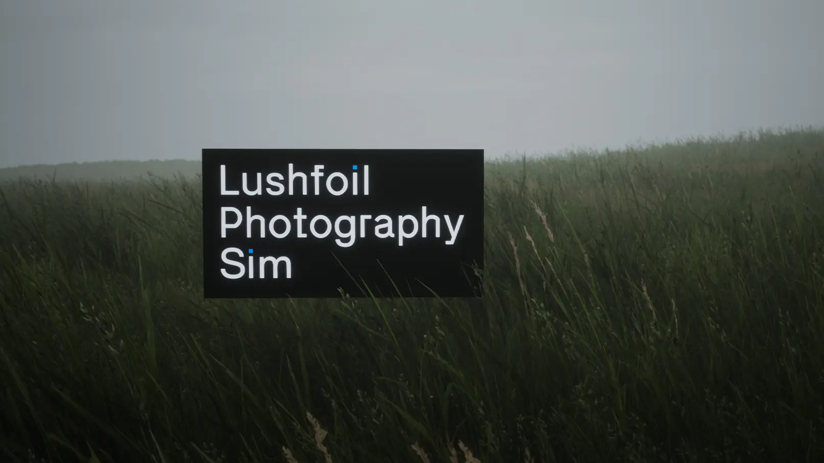 The Lushfoil Photography Sim logo on a black rectangular background hovering in a field with tall grass and a gray sky behind