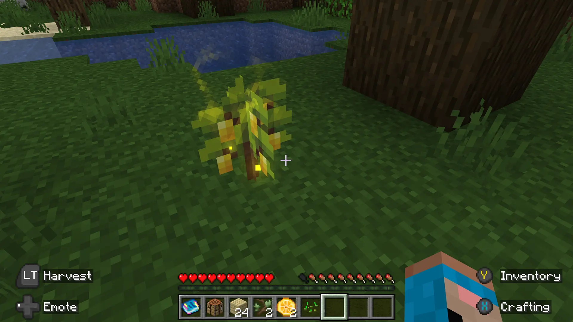 A lemon plant growing next to a tree and pond in the Minecraft video game