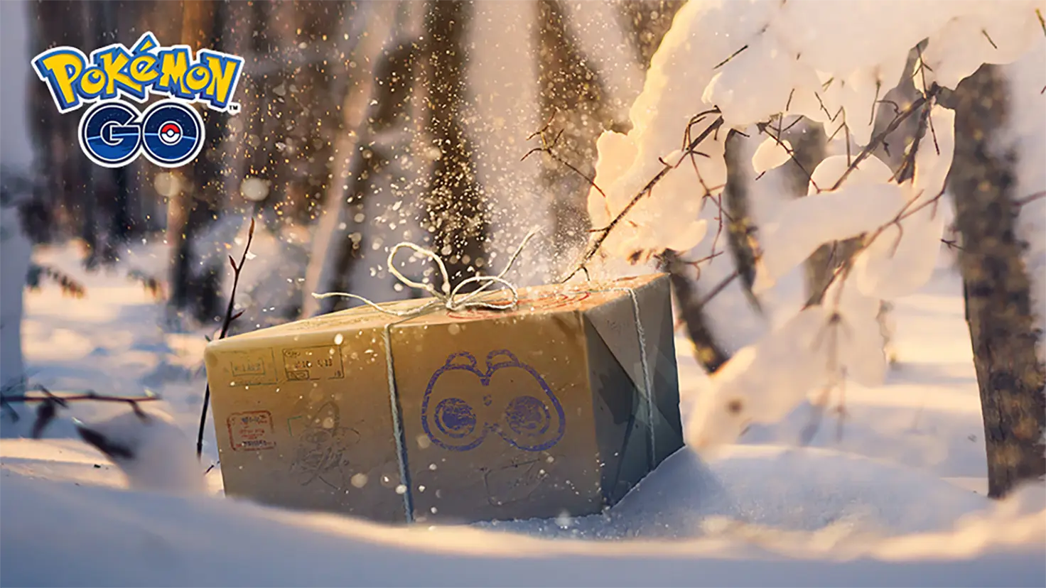 A parcel tied with strings sits in a snowy forest