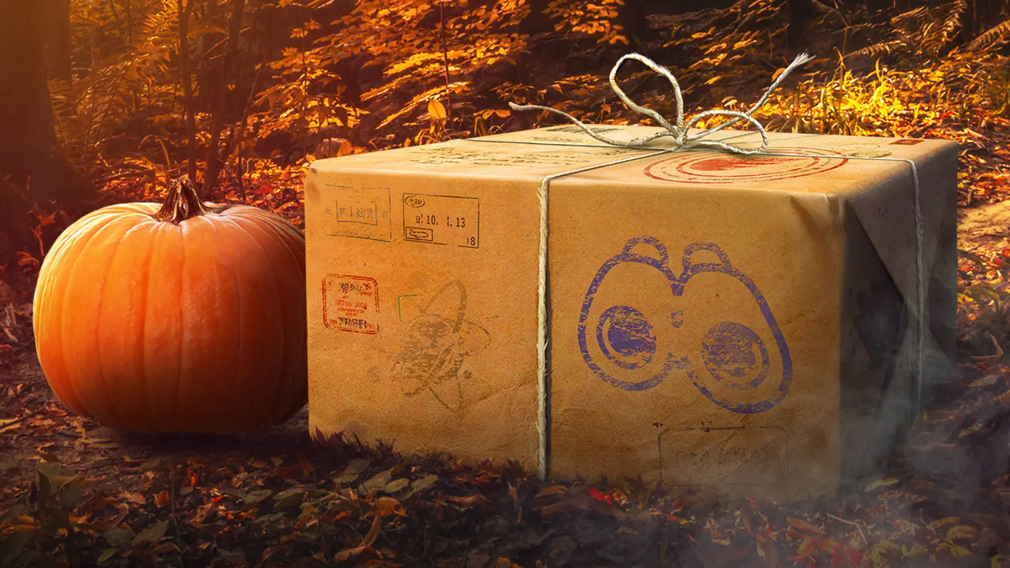 A box wrapped in kraft paper and twine next to a pumpkin in an autumnal forest