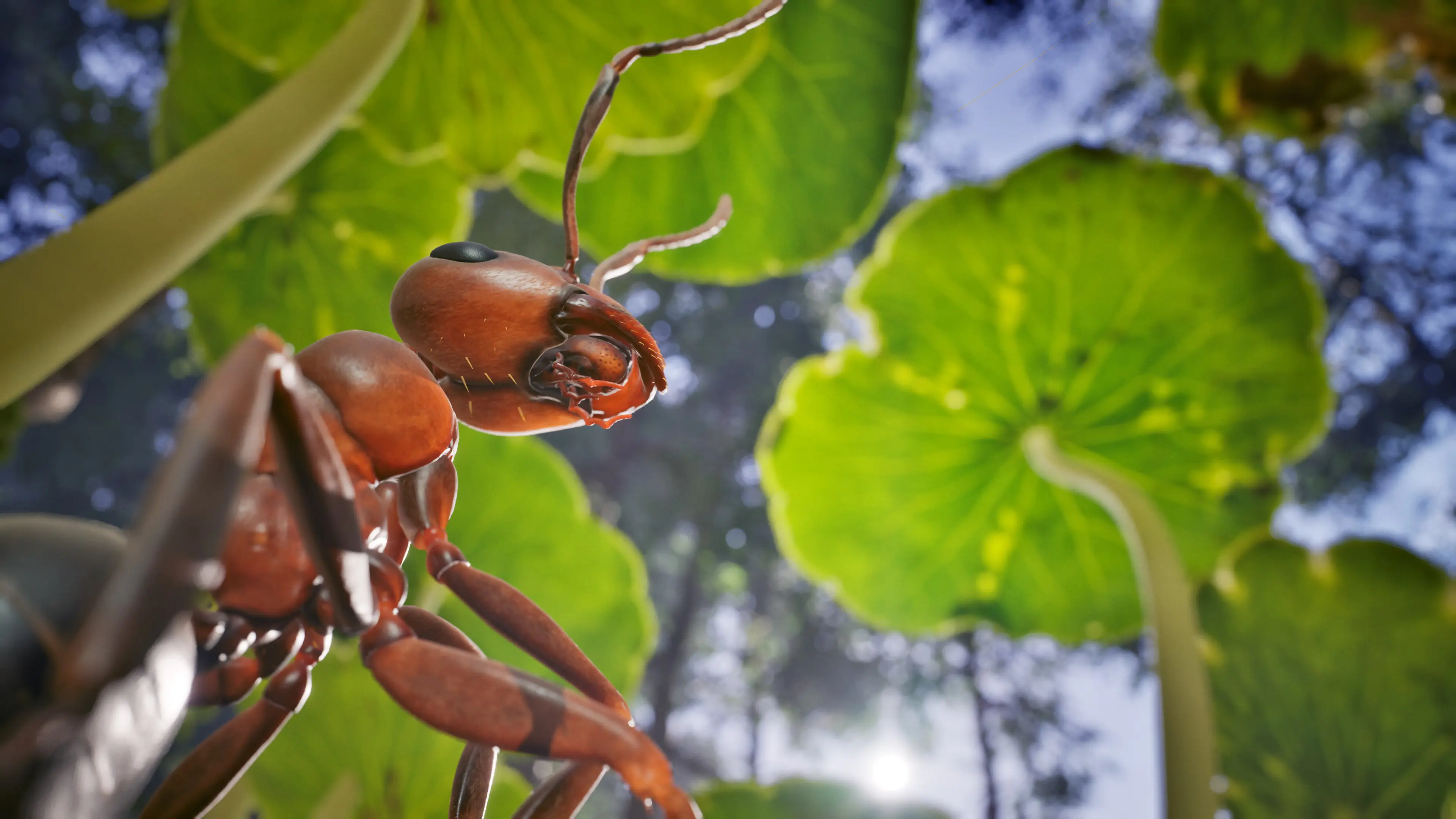 A red ant viewed from underneath. Plants can be seen behind the ant growing toward the sky.