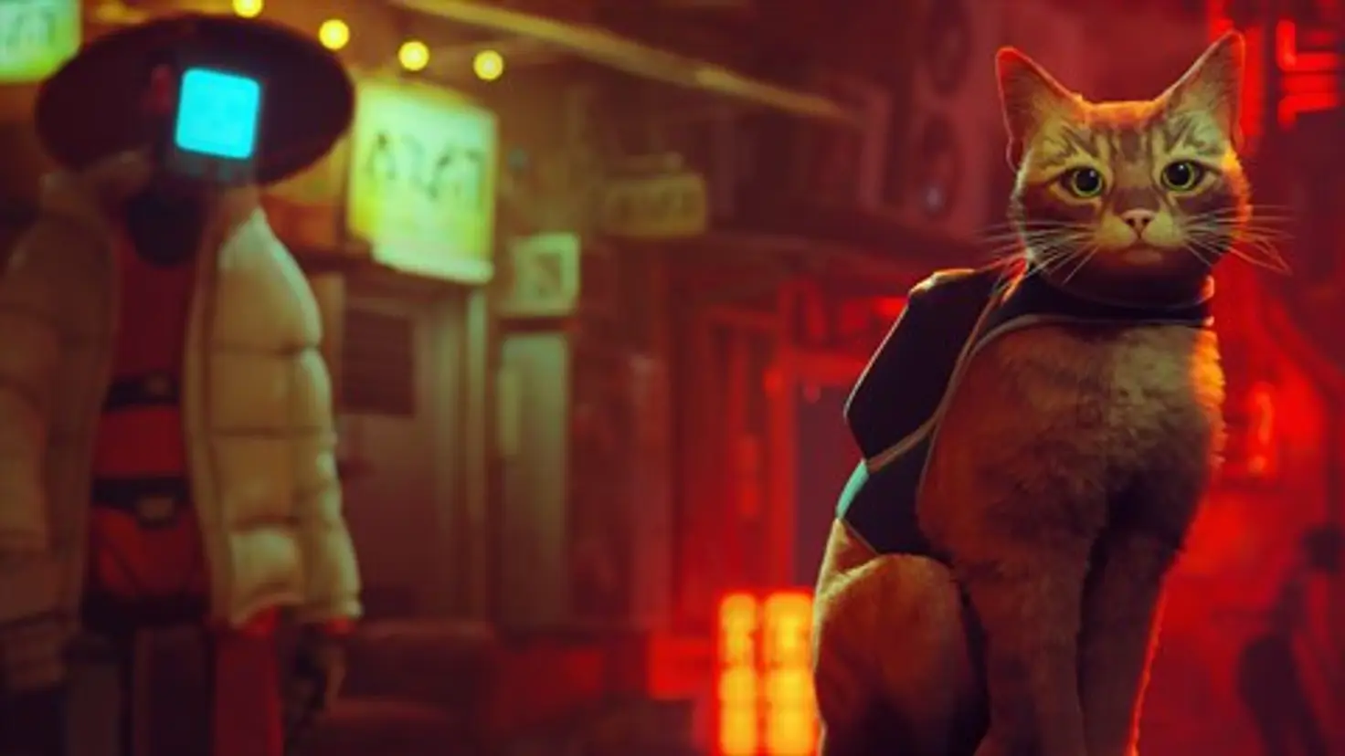 The cat from Stray wearing a backpack in a cyberpunk street with a robot behind