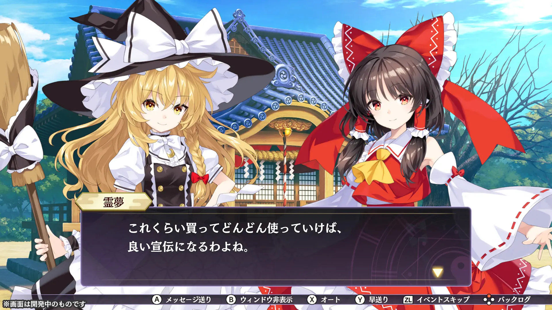 Two anime style girls wearing frilly outfits in the Touhou Spell Carnival video game