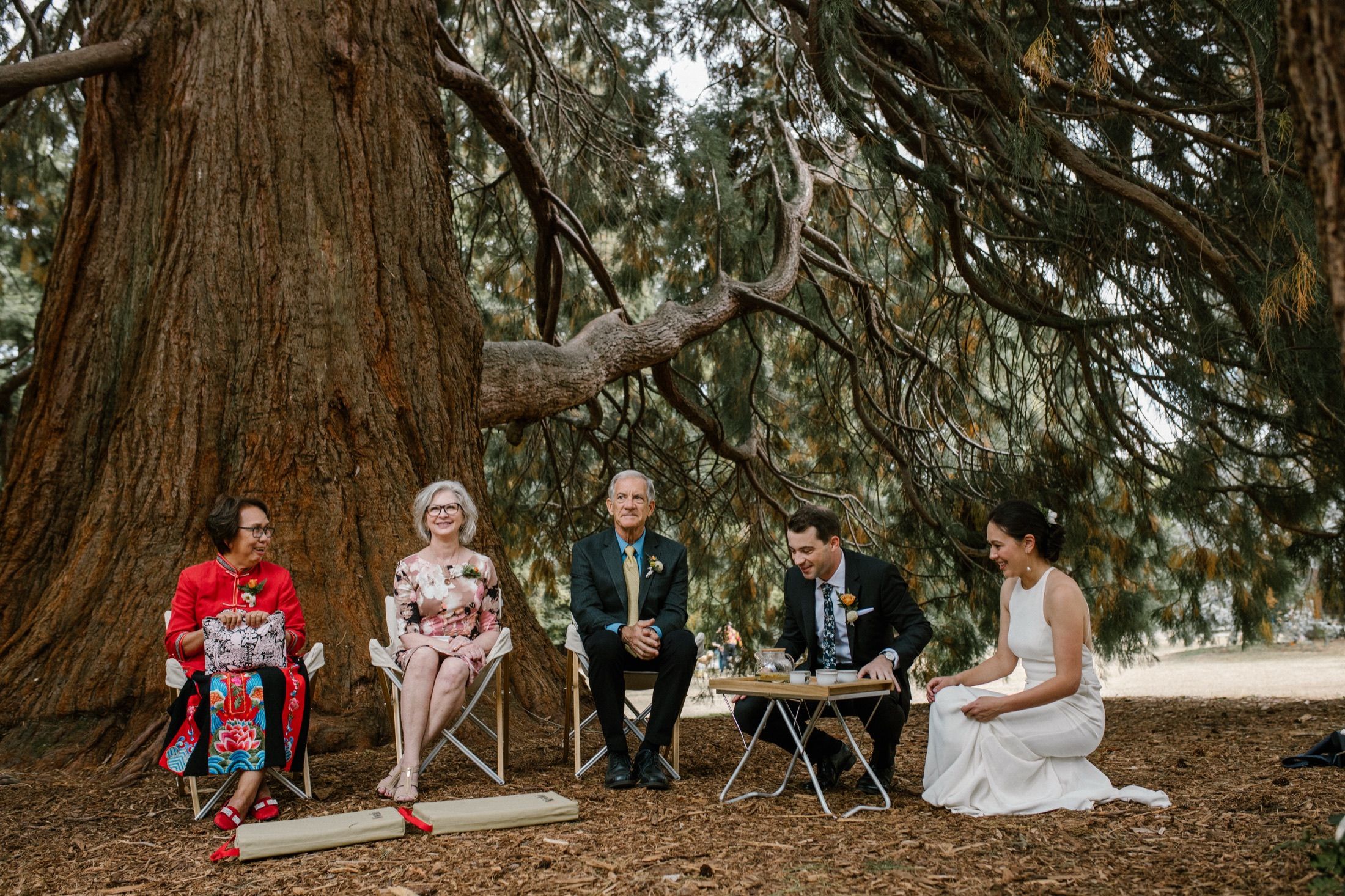 Kaeling and Scott at their wedding ceremony beneath a giant redwood.