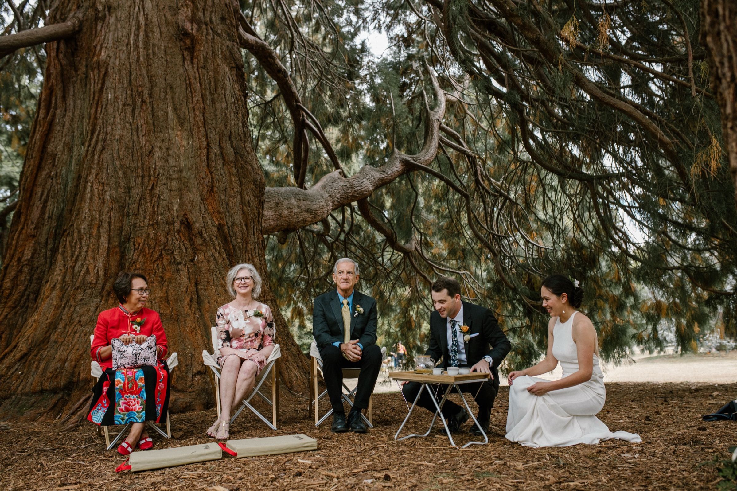 Kaeling and Scott at their wedding ceremony beneath a giant redwood.