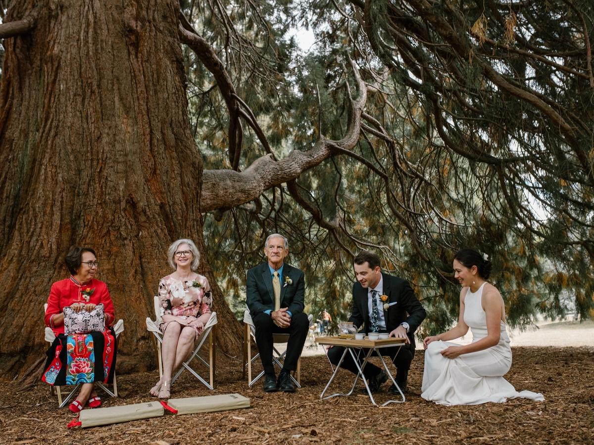 Kaeling and Scott at their wedding ceremony beneath a giant redwood.