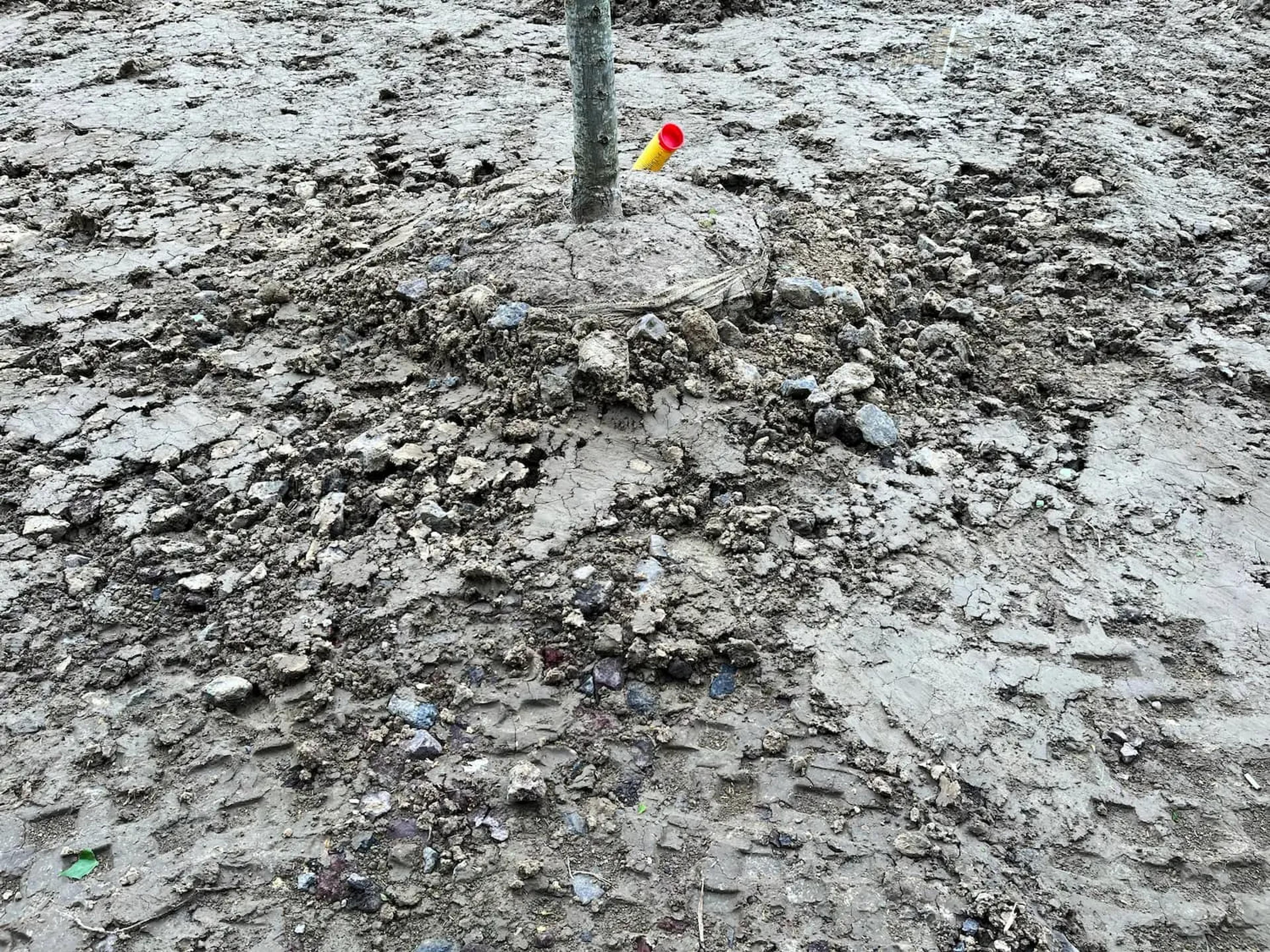 Why? Our Soil needs help.
