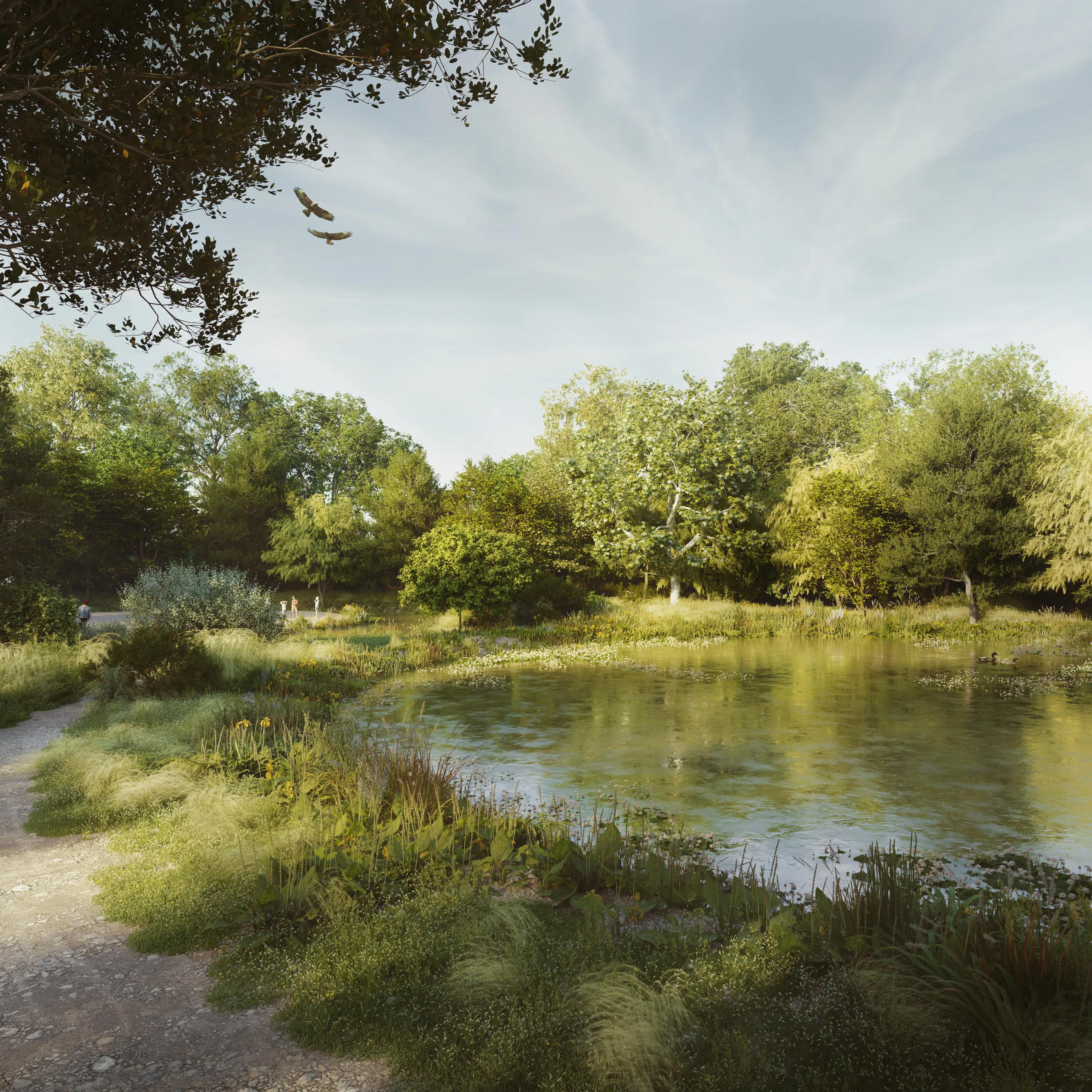 NbS Landscape Design