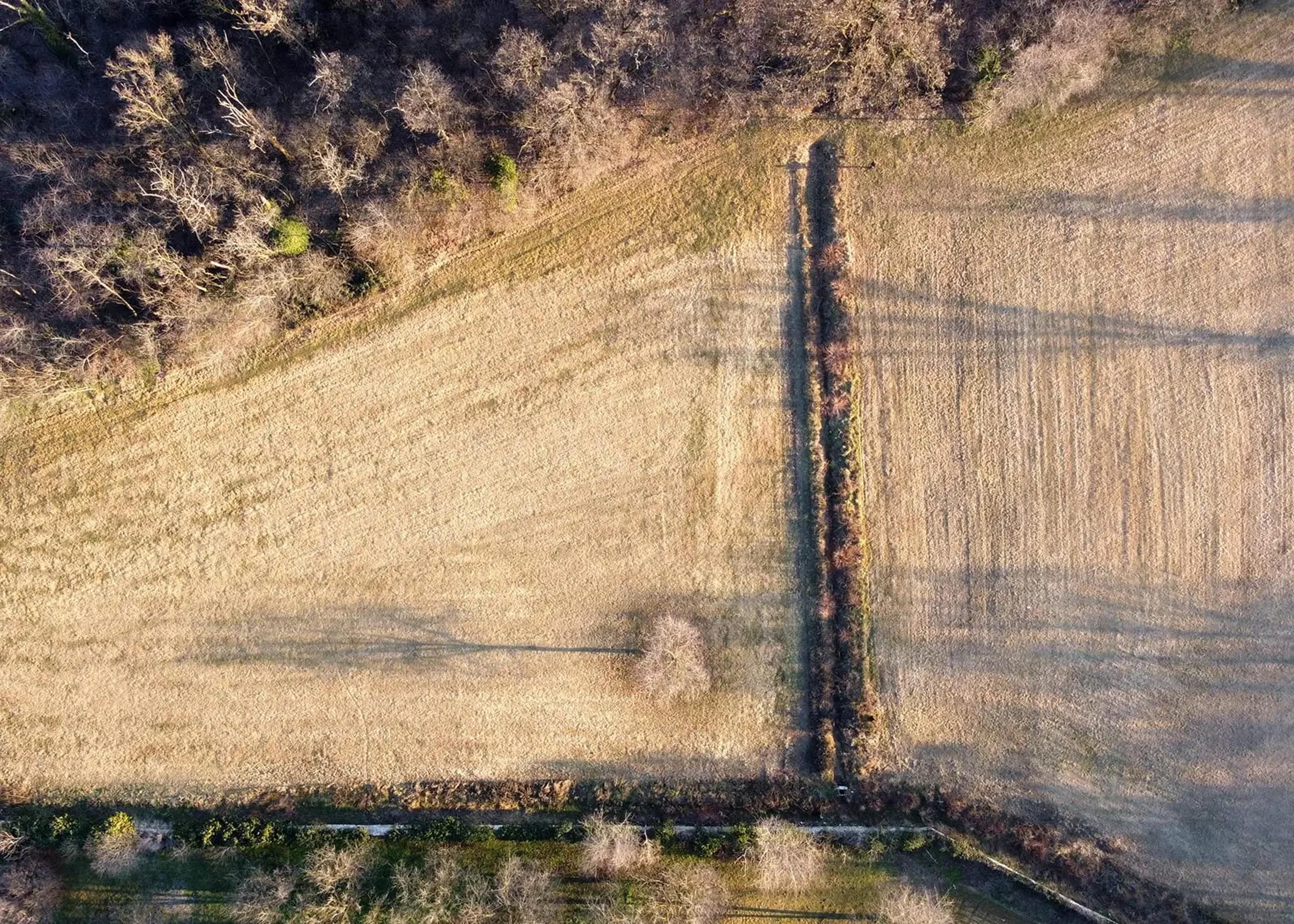 Land Owners