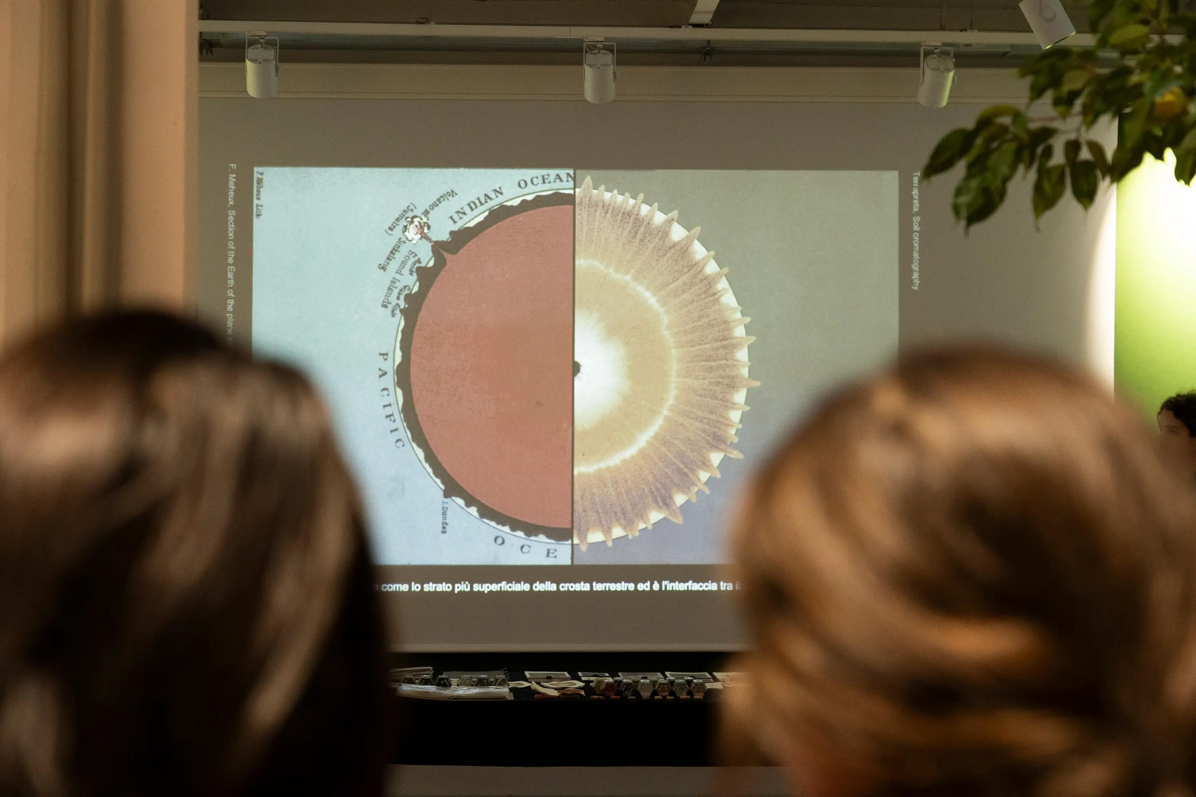 Park Stage: Landscape Restoration via Soil-based Solutions