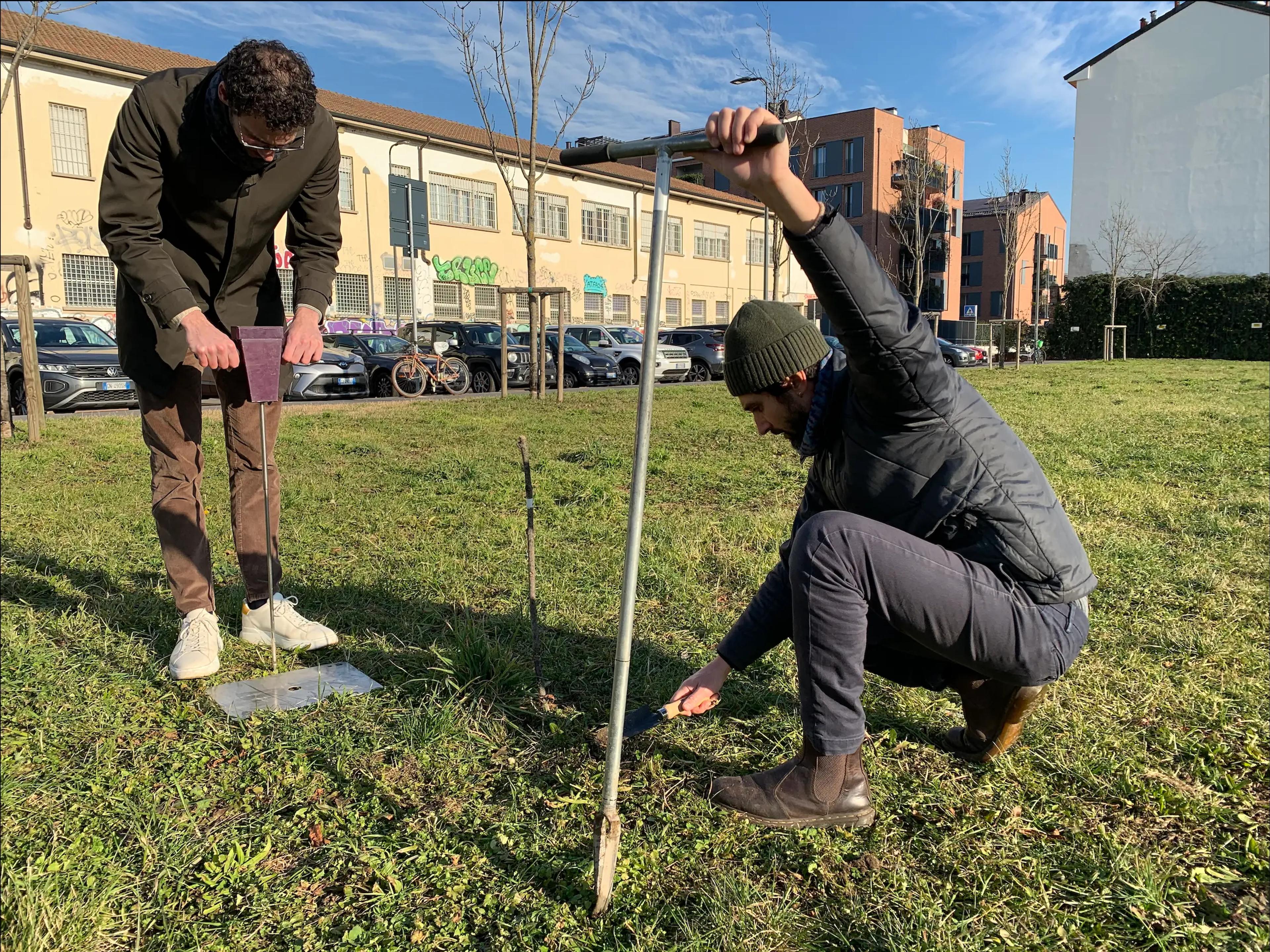 Soil assessment at Parco Baden Powell (Milan) to support urban Nature-based Solutions