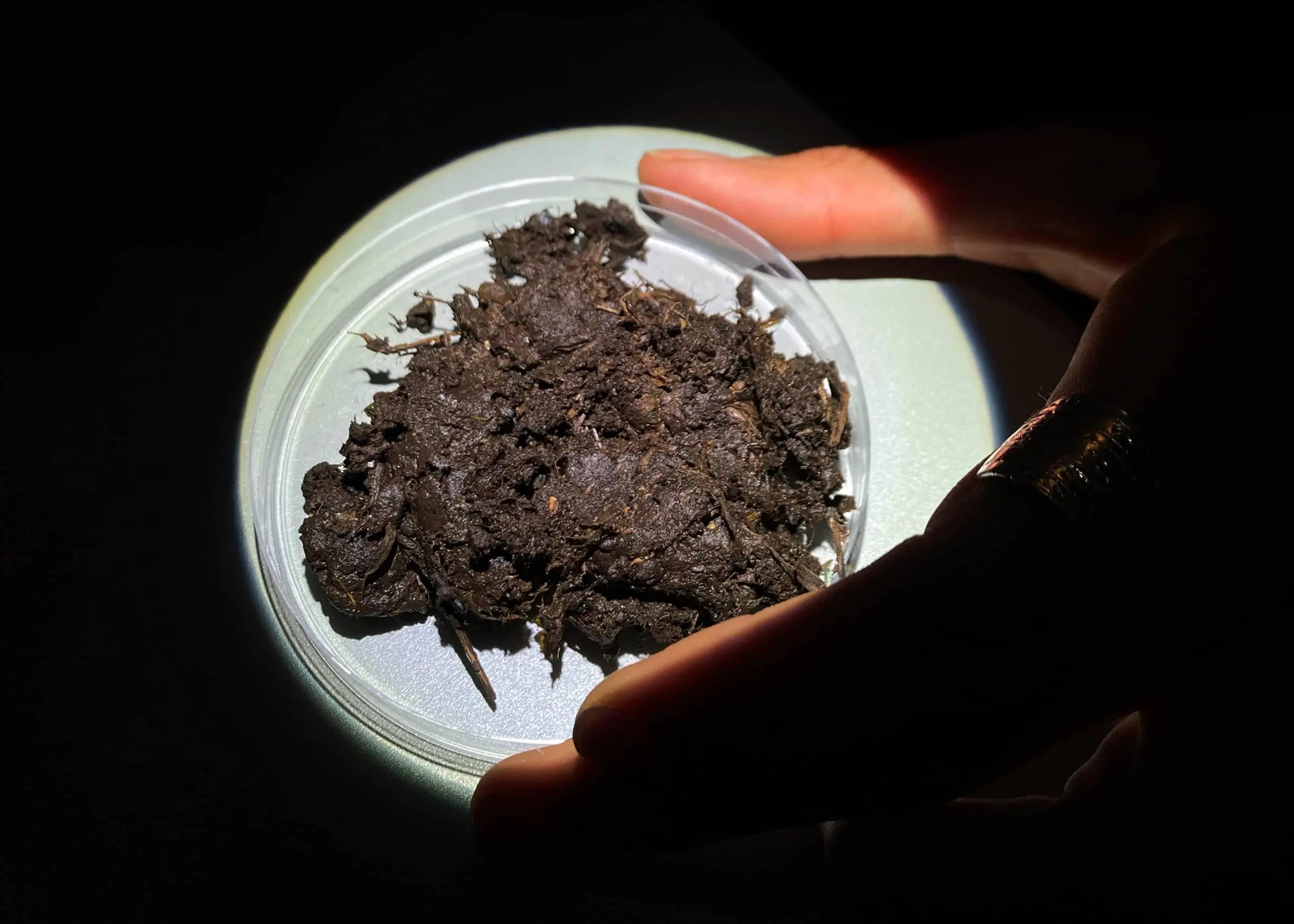 A person holding a bag containg soil to be analized