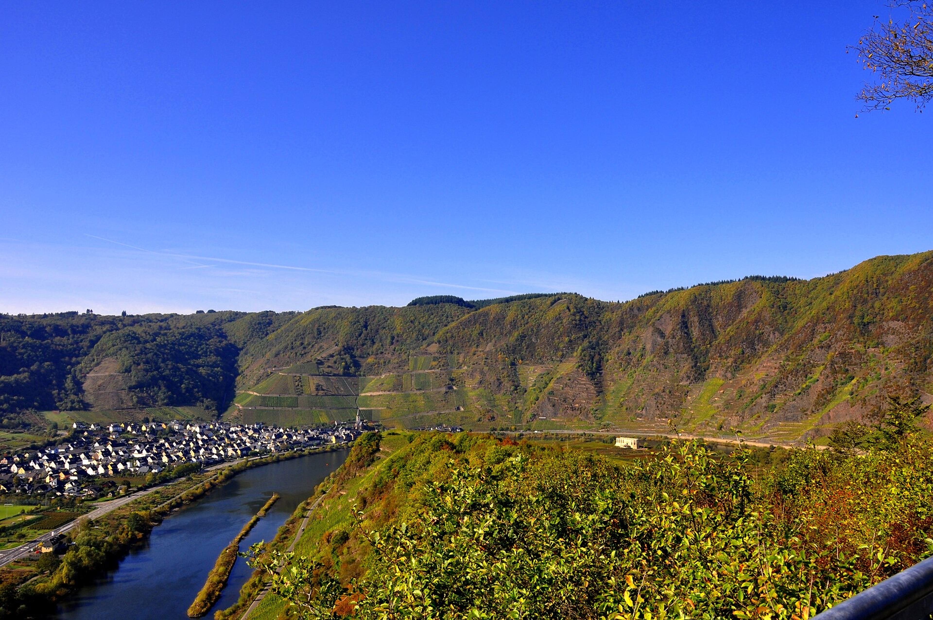Weinberge an der Mosel bei Trier, regionale Arrangements.