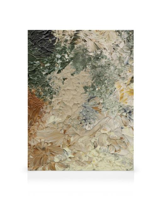 Earth Toned Texture Canvas print
