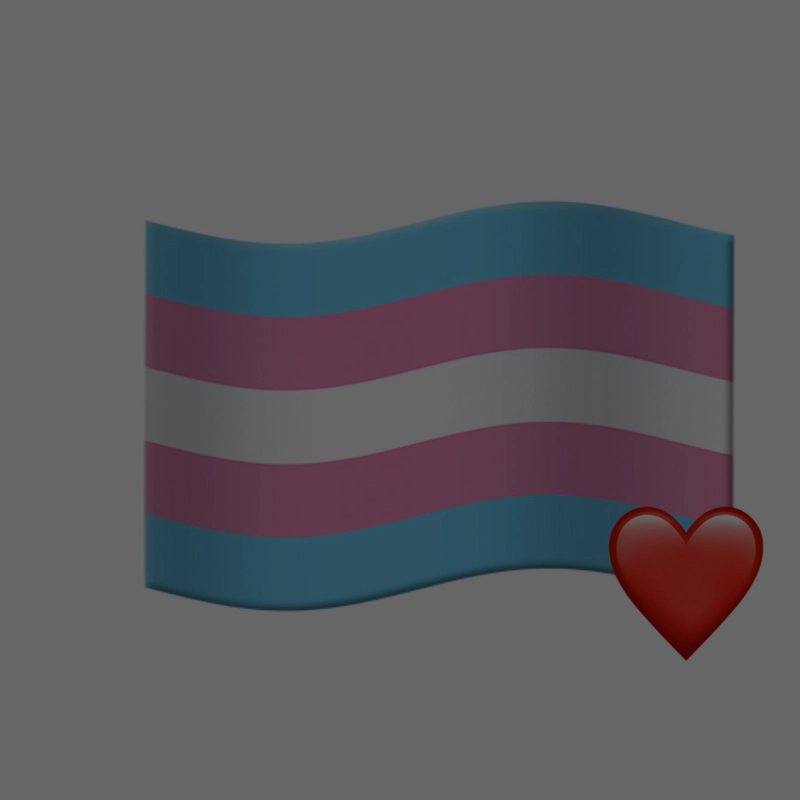 Our Support of Trans Rights
