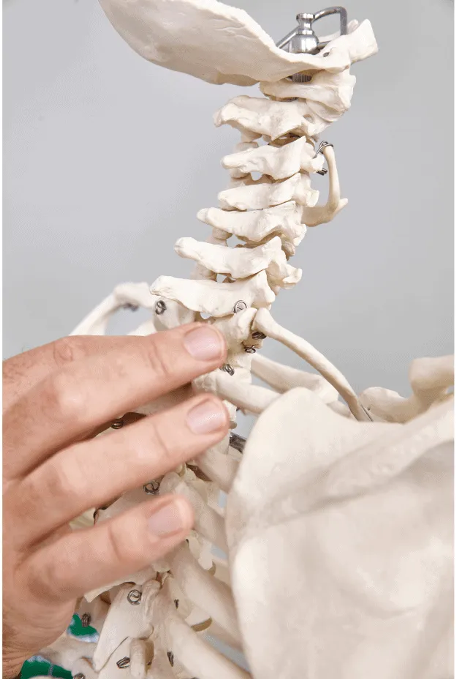 Physiotherapy for adults - Chill City SPA Poznań