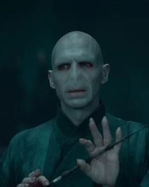 Ralph Fiennes as Lord Voldemort holds the Elder Wand across his hands.