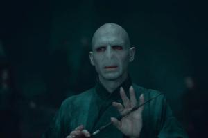 Who is the master of the Elder Wand? Draco, Snape and Harry explained still
