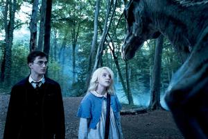 Why can Harry see the Thestrals in Order of the Phoenix? still