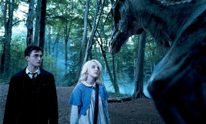 Why can Harry see the Thestrals in Order of the Phoenix? still