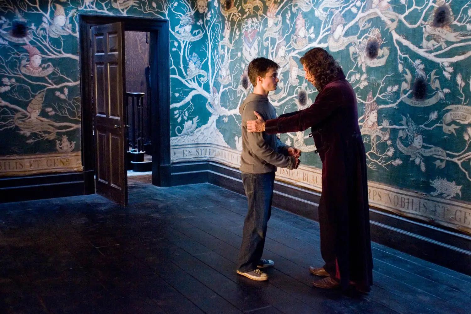 Daniel Radcliffe as Harry Potter and Gary Oldman as Sirius Black stand in front of the Black family tapestry at Grimmauld Place.