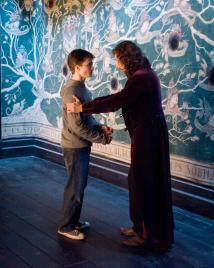 Daniel Radcliffe as Harry Potter and Gary Oldman as Sirius Black stand in front of the Black family tapestry at Grimmauld Place.
