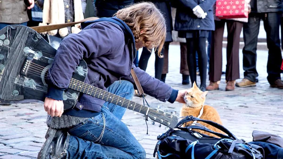 Luke Treadaway as James Bowen kneeling with his guitar to stroke Bob the cat while a crowd watches on cobbles.