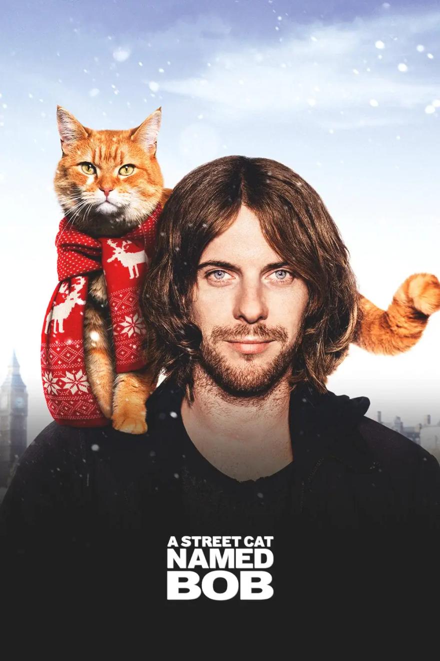 A Street Cat Named Bob poster