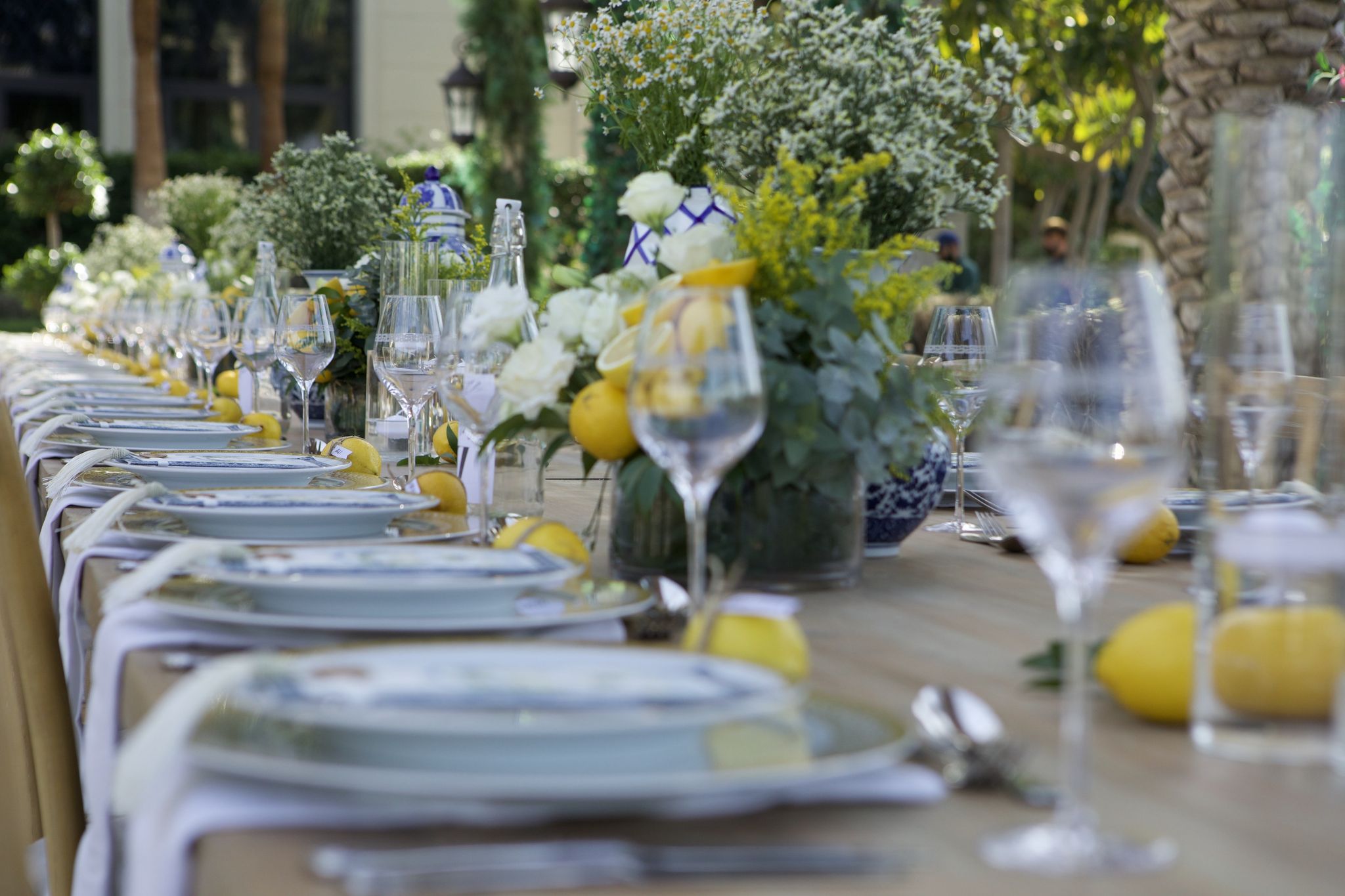 Shallow-focus view down the table past lemons, crystal stemware and white roses