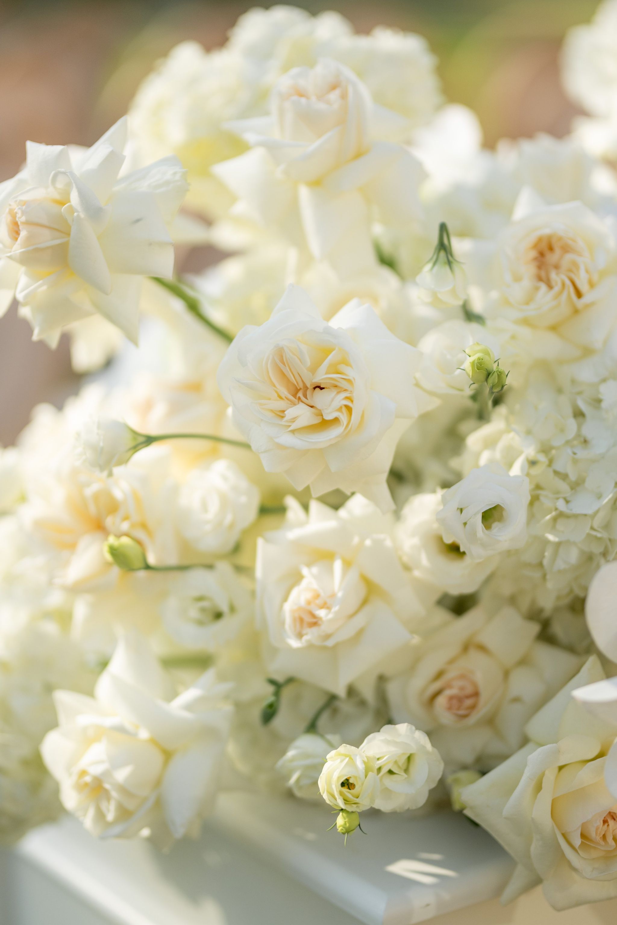 Ivory garden roses and hydrangeas in soft afternoon light