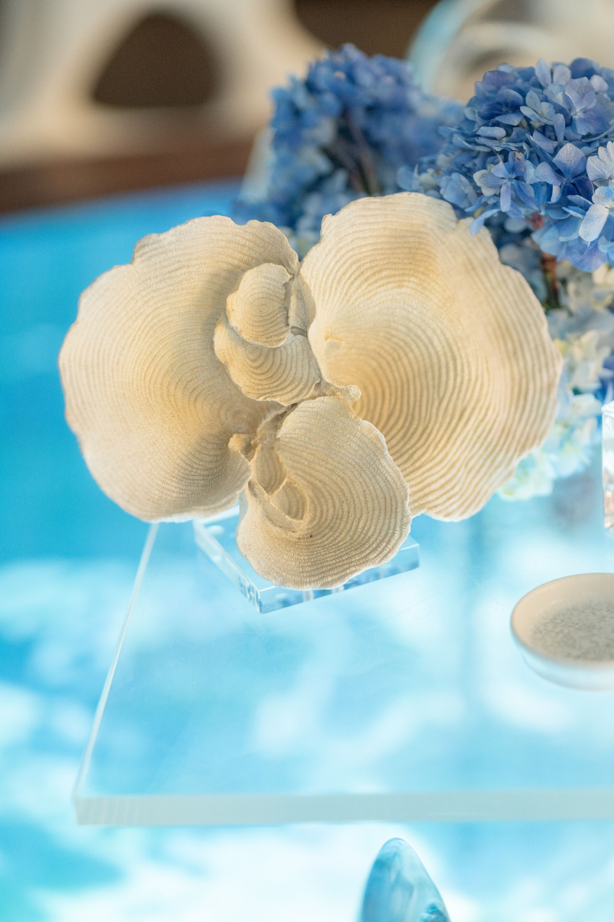 Sculptural white coral on an acrylic stand with blue hydrangeas over projected water