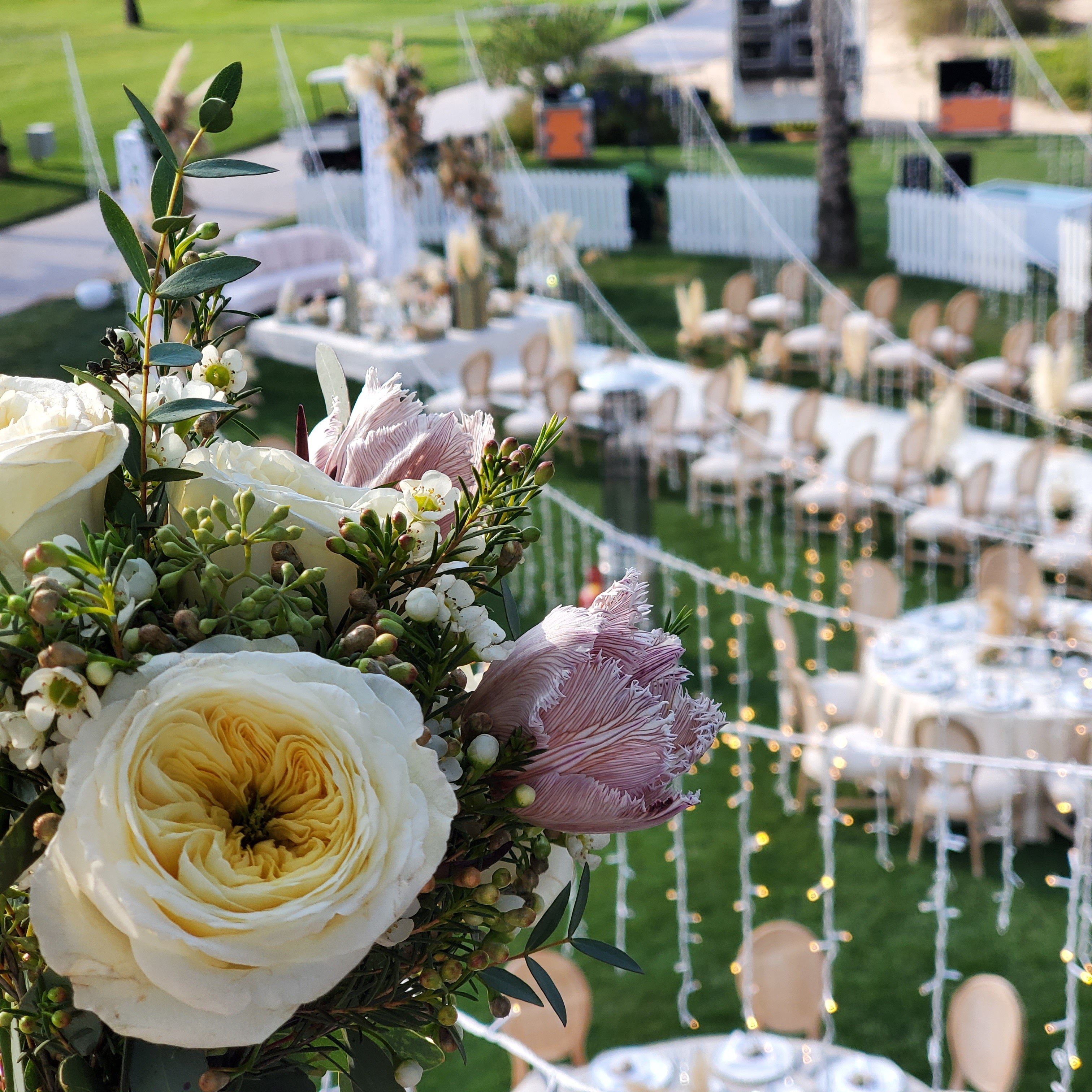 Ivory garden roses and pink protea in the foreground above rows of chairs and fairy lights