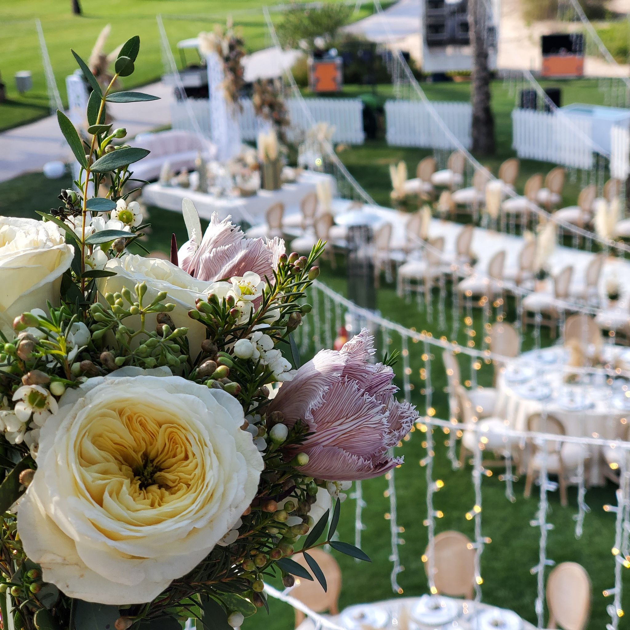 Ivory garden roses and pink protea in the foreground above rows of chairs and fairy lights