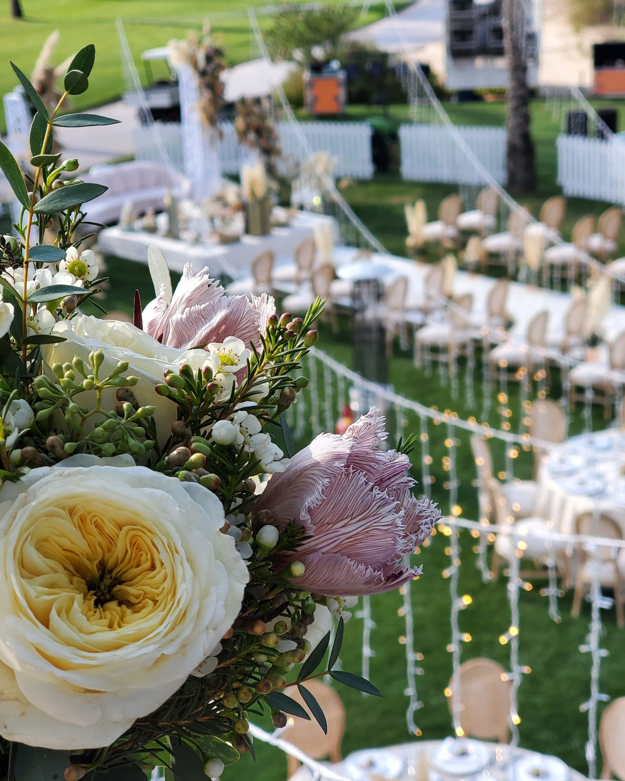 Ivory garden roses and pink protea in the foreground above rows of chairs and fairy lights