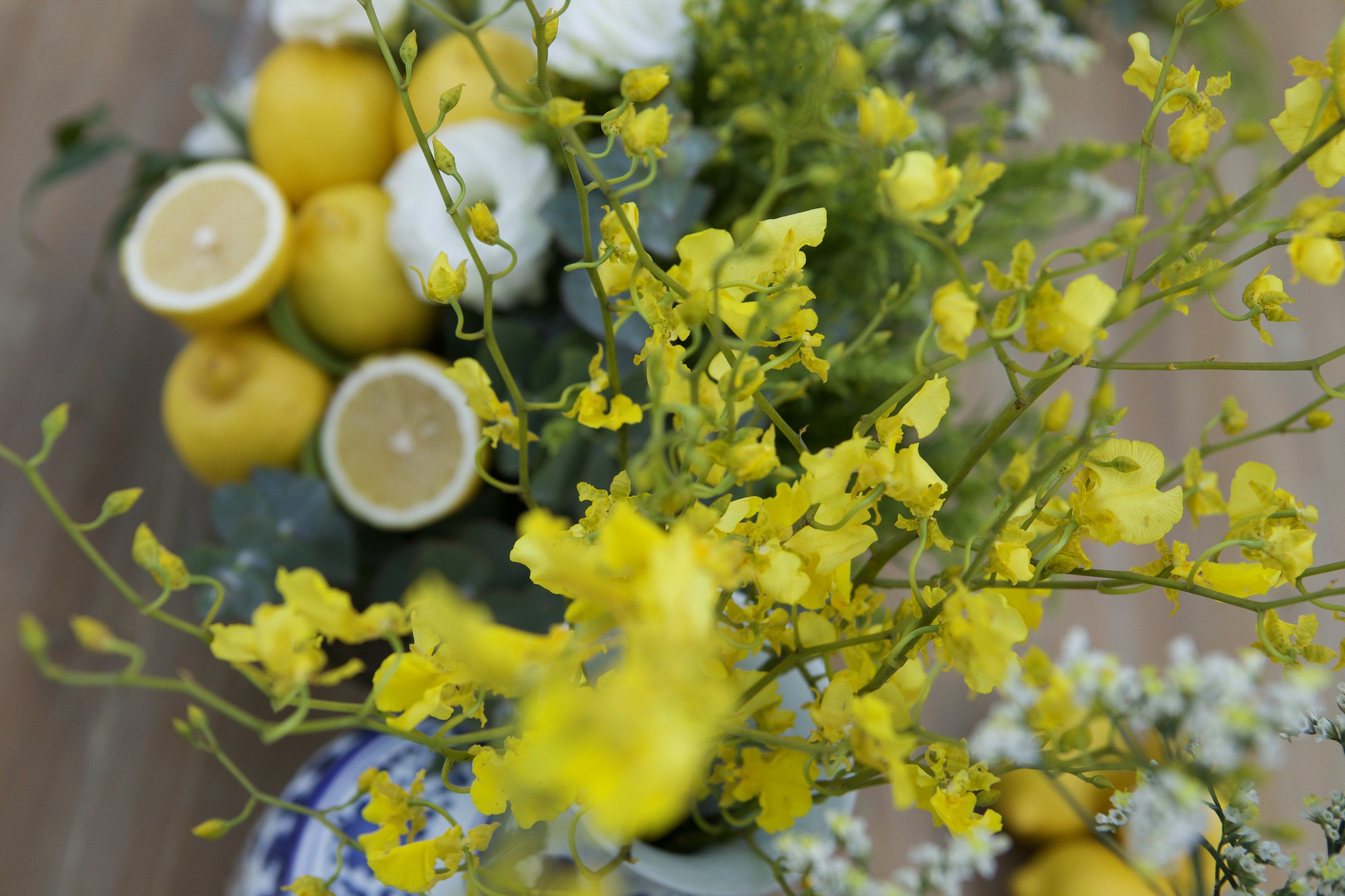 Sprays of yellow oncidium orchids over halved lemons and white blooms