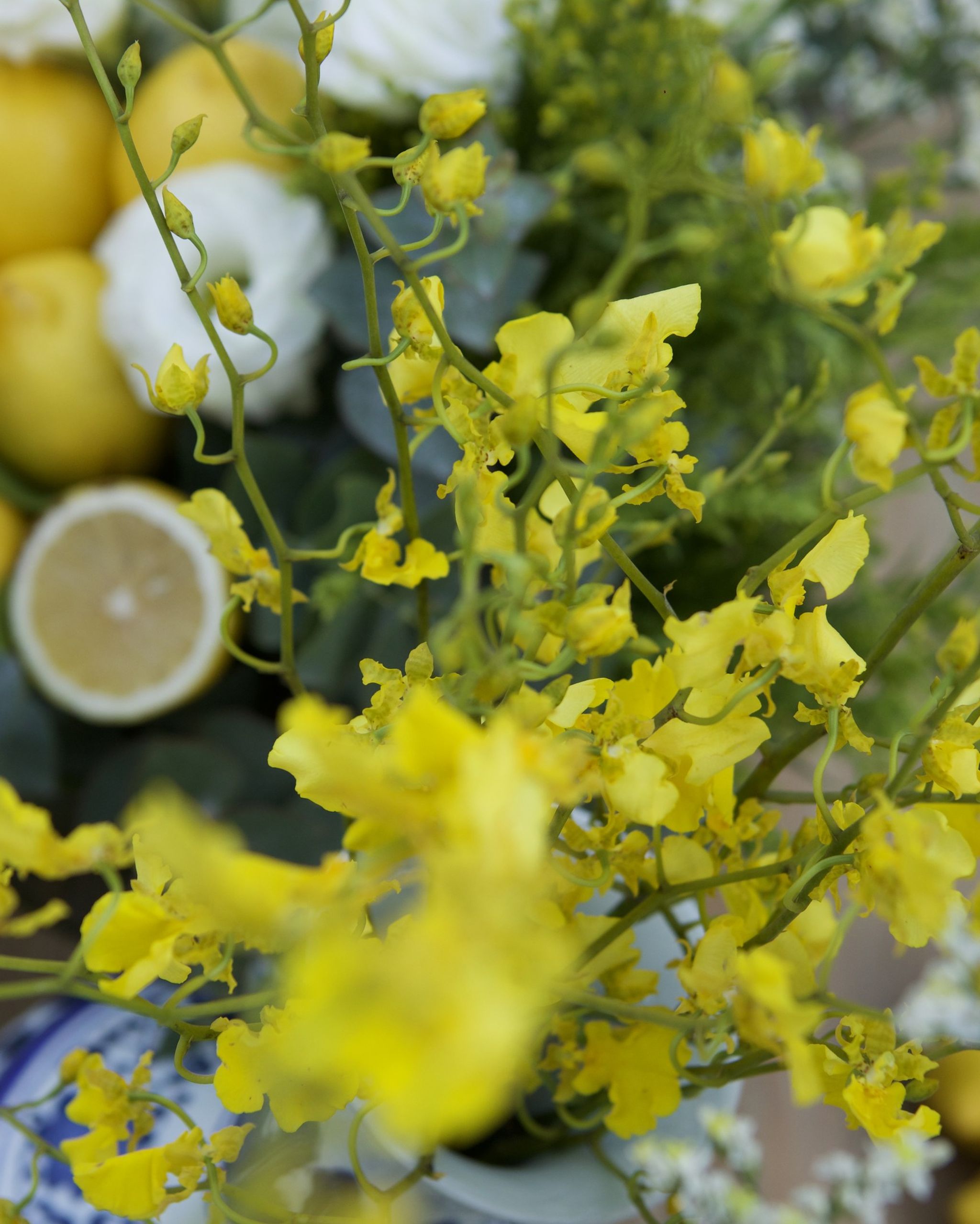 Sprays of yellow oncidium orchids over halved lemons and white blooms