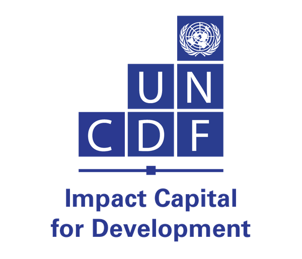 UN Capital Development Fund logo