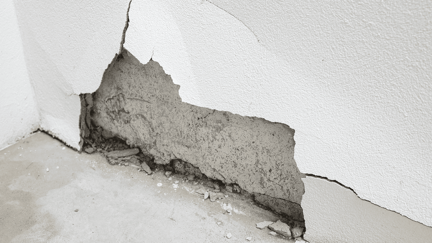 Hidden Defects in a Resale Property